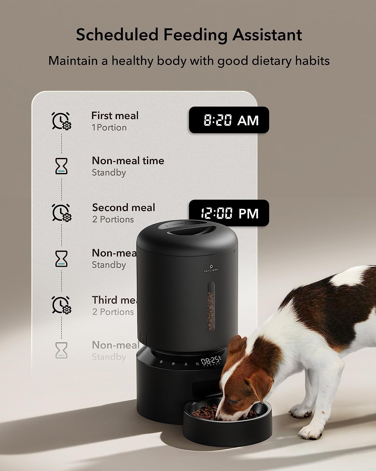 Automatic Cat Feeder Dog Food Dispenser Auto Timer Pet Feeding Tray, Low Food & Motion & Sound Alerts, 4L Basic